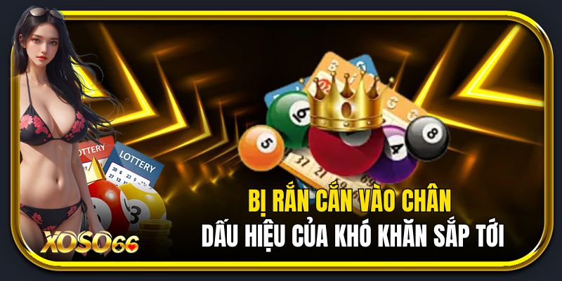 Bị rắn cắn vào chân dấu hiệu của khó khăn sắp tới