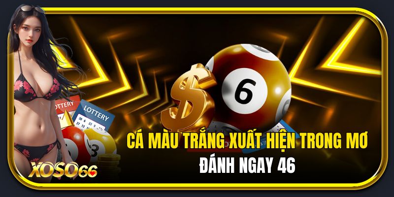 Mơ thấy cá màu trắng xuất hiện trong mơ đánh ngay 46.