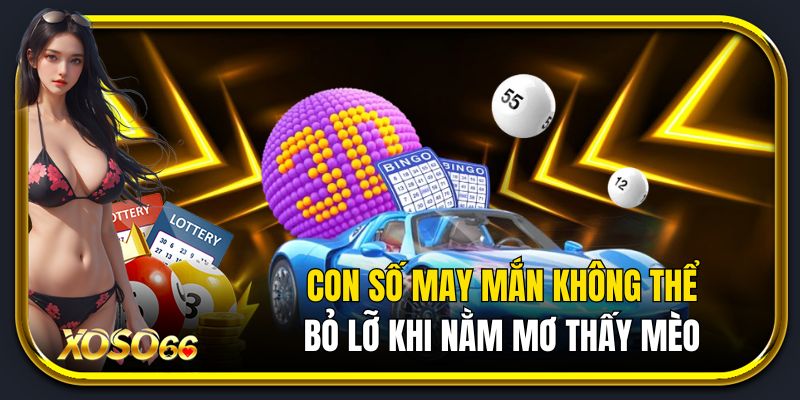 Con số may mắn không thể bỏ lỡ khi nằm mơ thấy mèo