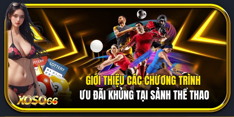 Giới thiệu các chương trình ưu đãi khủng tại sảnh thể thao