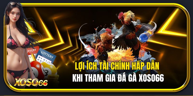 Lợi ích tài chính hấp dẫn dành cho người chơi khi tham gia đá gà xoso66