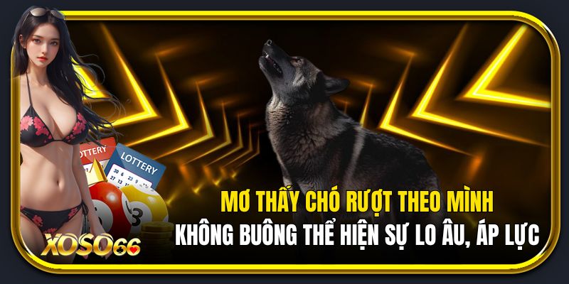 Mơ thấy chó rượt theo mình không buông thể hiện sự lo âu, áp lực.