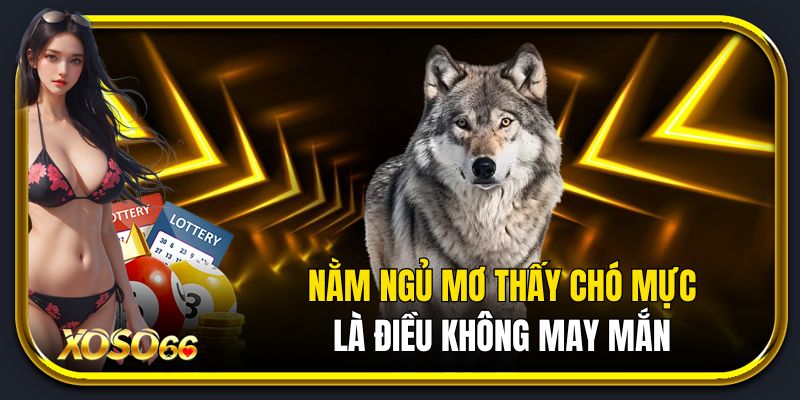 Nằm ngủ mơ thấy chó mực là điều không may mắn.