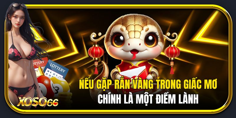 Nếu gặp rắn vàng trong giấc mơ chính là một điềm lành.
