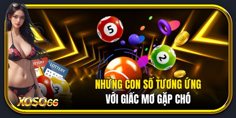 Những con số tương ứng với giấc mơ gặp chó.