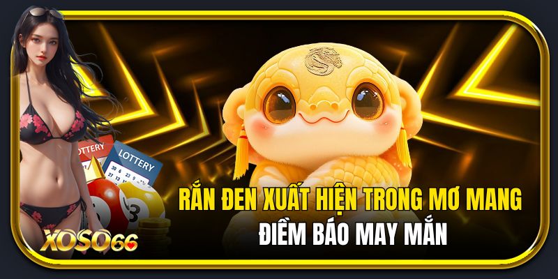 Rắn đen xuất hiện trong mơ mang điềm báo may mắn.