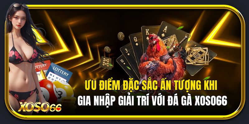 Ưu điểm ấn tượng đặc sắc khi gia nhập đá gà xoso66